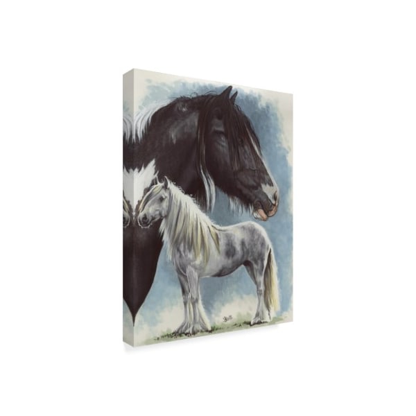 Barbara Keith 'Gypsy Cob' Canvas Art,24x32